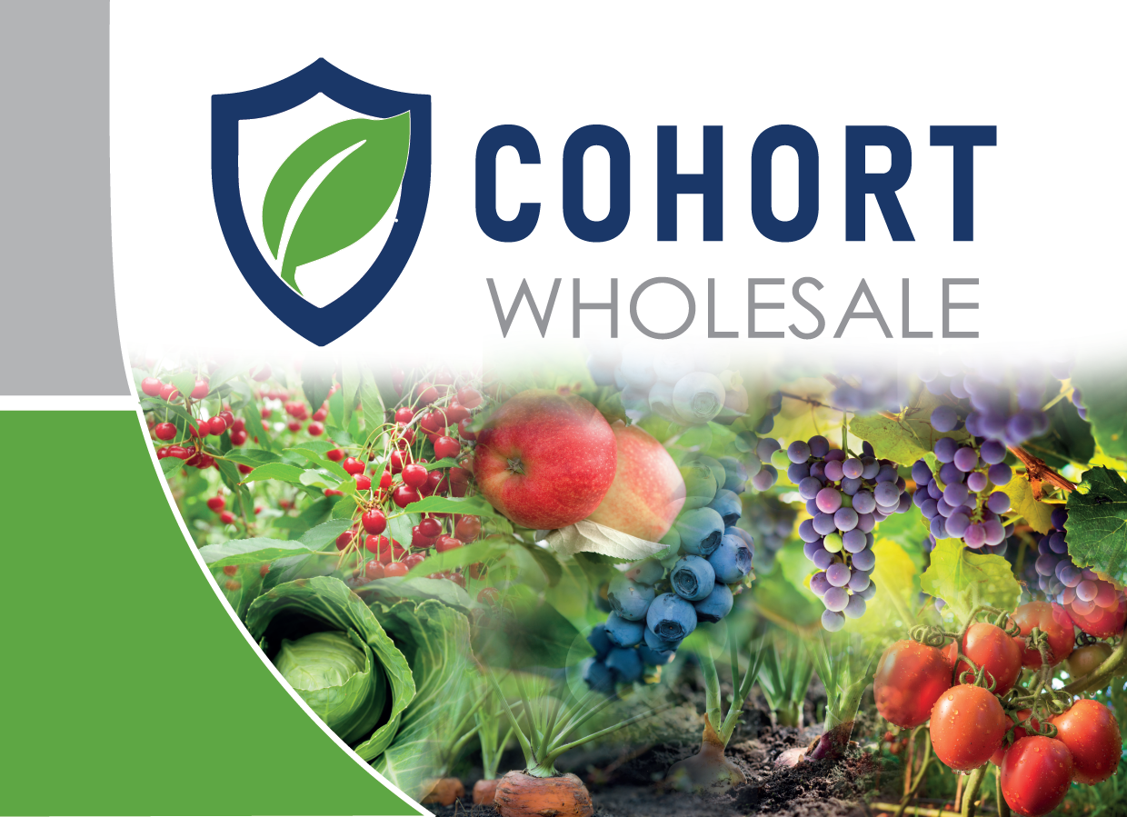 Screenshot 2025-02-13 115355